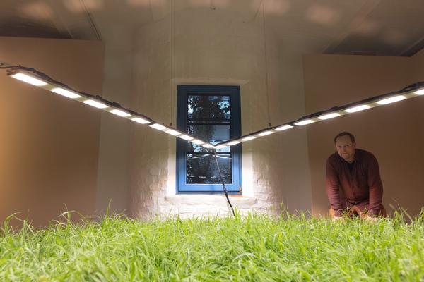 SEEDS. Reclaiming Roots, Sowing Futures (KunstHausWien / Museum Hundertwasser, 10.04.2026 – 14.02.2027) Foto: eSeL.at - Lorenz Seidler