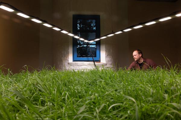 SEEDS. Reclaiming Roots, Sowing Futures (KunstHausWien / Museum Hundertwasser, 10.04.2026 – 14.02.2027) Foto: eSeL.at - Lorenz Seidler