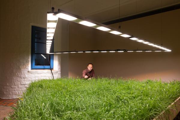 SEEDS. Reclaiming Roots, Sowing Futures (KunstHausWien / Museum Hundertwasser, 10.04.2026 – 14.02.2027) Foto: eSeL.at - Lorenz Seidler