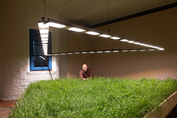 SEEDS. Reclaiming Roots, Sowing Futures (KunstHausWien / Museum Hundertwasser, 10.04.2026 – 14.02.2027) Foto: eSeL.at - Lorenz Seidler