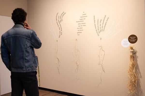 SEEDS. Reclaiming Roots, Sowing Futures (KunstHausWien / Museum Hundertwasser, 10.04.2026 – 14.02.2027) Foto: eSeL.at - Lorenz Seidler