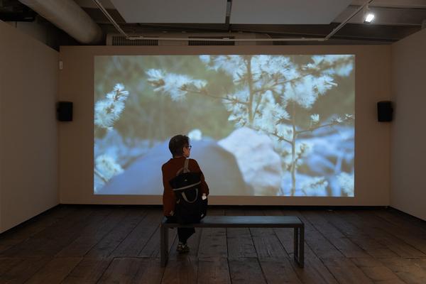 SEEDS. Reclaiming Roots, Sowing Futures (KunstHausWien / Museum Hundertwasser, 10.04.2026 – 14.02.2027) Foto: eSeL.at - Lorenz Seidler