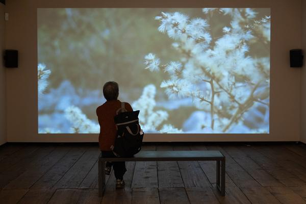 SEEDS. Reclaiming Roots, Sowing Futures (KunstHausWien / Museum Hundertwasser, 10.04.2026 – 14.02.2027) Foto: eSeL.at - Lorenz Seidler