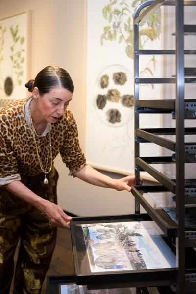 SEEDS. Reclaiming Roots, Sowing Futures (KunstHausWien / Museum Hundertwasser, 10.04.2026 – 14.02.2027) Foto: eSeL.at - Joanna Pianka