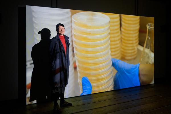 SEEDS. Reclaiming Roots, Sowing Futures (KunstHausWien / Museum Hundertwasser, 10.04.2026 – 14.02.2027) Foto: eSeL.at - Joanna Pianka