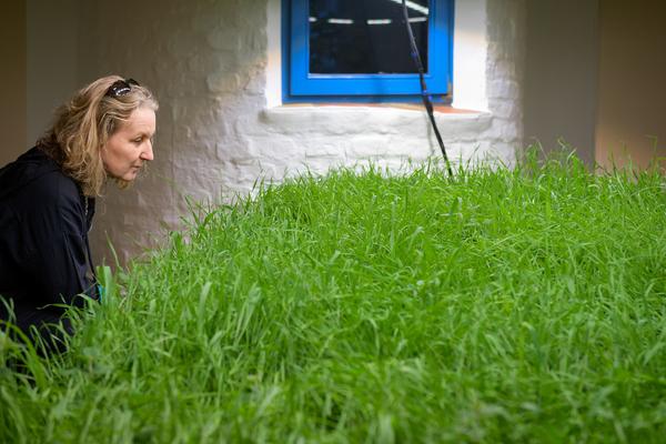 SEEDS. Reclaiming Roots, Sowing Futures (KunstHausWien / Museum Hundertwasser, 10.04.2026 – 14.02.2027) Foto: eSeL.at - Joanna Pianka