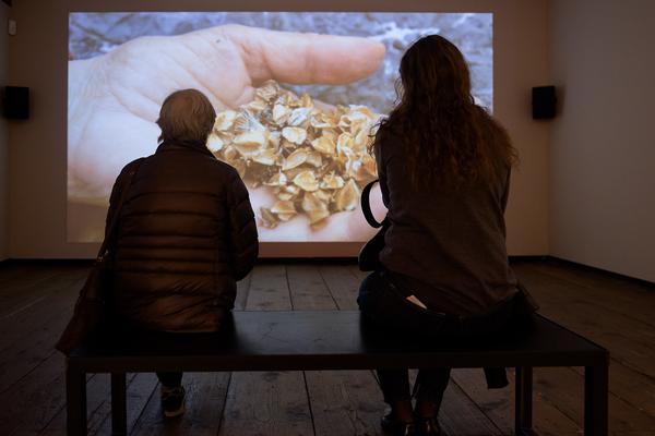 SEEDS. Reclaiming Roots, Sowing Futures (KunstHausWien / Museum Hundertwasser, 10.04.2026 – 14.02.2027) Foto: eSeL.at - Joanna Pianka