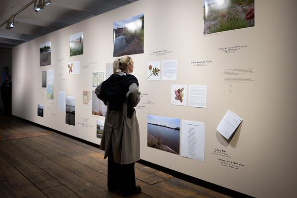 SEEDS. Reclaiming Roots, Sowing Futures (KunstHausWien / Museum Hundertwasser, 10.04.2026 – 14.02.2027) Foto: eSeL.at - Joanna Pianka