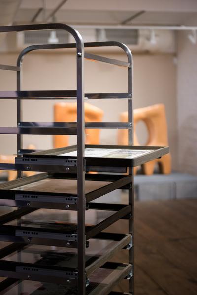 SEEDS. Reclaiming Roots, Sowing Futures (KunstHausWien / Museum Hundertwasser, 10.04.2026 – 14.02.2027) Foto: eSeL.at - Joanna Pianka