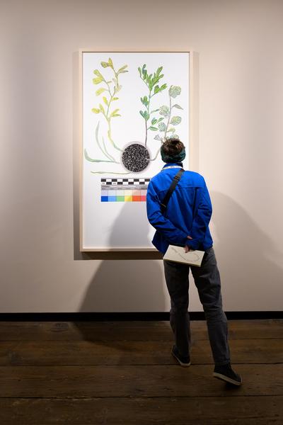 SEEDS. Reclaiming Roots, Sowing Futures (KunstHausWien / Museum Hundertwasser, 10.04.2026 – 14.02.2027) Foto: eSeL.at - Joanna Pianka