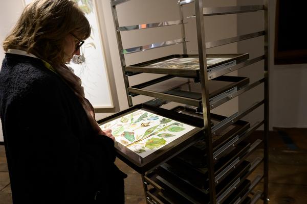 SEEDS. Reclaiming Roots, Sowing Futures (KunstHausWien / Museum Hundertwasser, 10.04.2026 – 14.02.2027) Foto: eSeL.at - Joanna Pianka