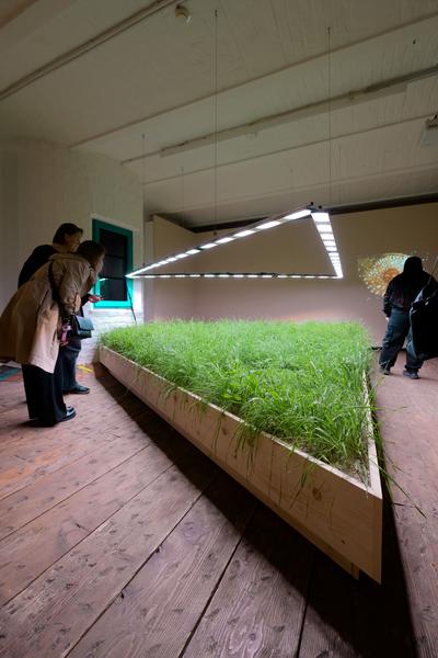 SEEDS. Reclaiming Roots, Sowing Futures (KunstHausWien / Museum Hundertwasser, 10.04.2026 – 14.02.2027) Foto: eSeL.at - Joanna Pianka