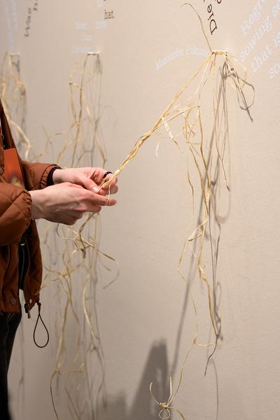 SEEDS. Reclaiming Roots, Sowing Futures (KunstHausWien / Museum Hundertwasser, 10.04.2026 – 14.02.2027) Foto: eSeL.at - Joanna Pianka