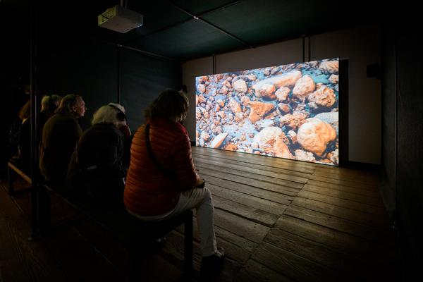 SEEDS. Reclaiming Roots, Sowing Futures (KunstHausWien / Museum Hundertwasser, 10.04.2026 – 14.02.2027) Foto: eSeL.at - Joanna Pianka