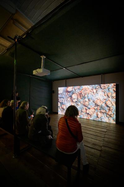 SEEDS. Reclaiming Roots, Sowing Futures (KunstHausWien / Museum Hundertwasser, 10.04.2026 – 14.02.2027) Foto: eSeL.at - Joanna Pianka