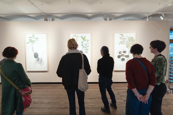 Public Tours: Seeds. Reclaiming Roots, Sowing Futures - Klima Biennale 2026 (Kunsthaus Wien, 12.04.2026) Foto: eSeL.at - Robert Puteanu