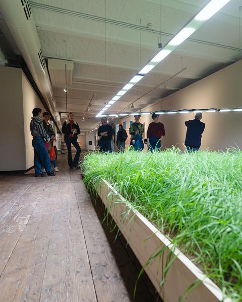 Public Tours: Seeds. Reclaiming Roots, Sowing Futures - Klima Biennale 2026 (Kunsthaus Wien, 12.04.2026) Foto: eSeL.at - Robert Puteanu