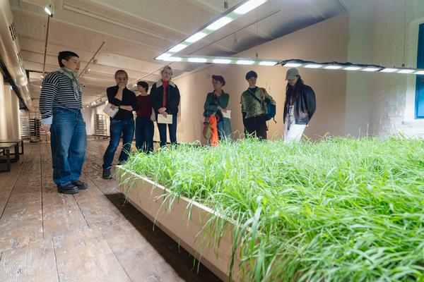 Public Tours: Seeds. Reclaiming Roots, Sowing Futures - Klima Biennale 2026 (Kunsthaus Wien, 12.04.2026) Foto: eSeL.at - Robert Puteanu