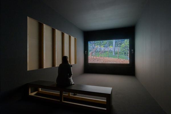 Klima Biennale 2024: Songs for the Changing Seasons - Festivalareal Nordwestbahnhof (5.4. - 14.7.2024) Foto: eSeL.at - Joanna Pianka Foto: eSeL.at - Joanna Pianka