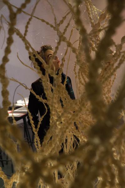 eSeL Foto: Simona Koch “Menschengeflecht” @ “Dis-Organisation - Poesie des Wucherns” (das weisse haus, 2015) Foto: eSeL.at