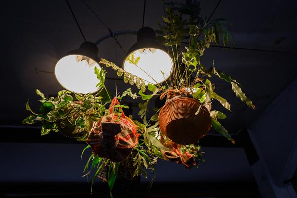 Klima Biennale: Solutions &amp; Strategies (Badeschiff, 29.04. - 03.05.2026) Foto: eSeL.at - Joanna Pianka