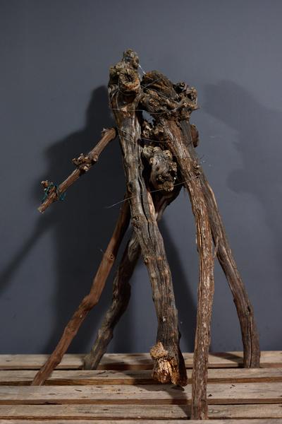 Klima Biennale: Solutions &amp; Strategies (Badeschiff, 29.04. - 03.05.2026) Foto: eSeL.at - Joanna Pianka