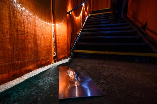 Klima Biennale: Solutions &amp; Strategies (Badeschiff, 29.04. - 03.05.2026) Foto: eSeL.at - Joanna Pianka