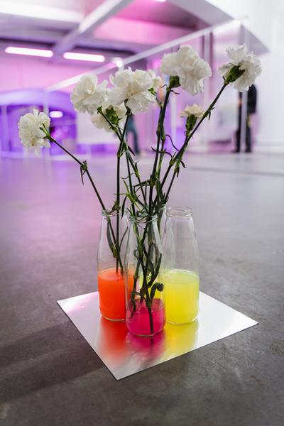 Ana de Almeida: Someone Will Water Them (Das Weisse Haus, 15.09.2026) Foto: eSeL.at - Robert Puteanu