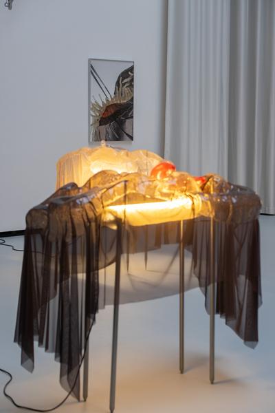 "still (a little life)" - Neven Allgeier, Judith Eisler, Pakui Hardware (The Hall. PART International Art Residency Austria, 7.3.2026) Foto: eSeL.at - Lorenz Seidler