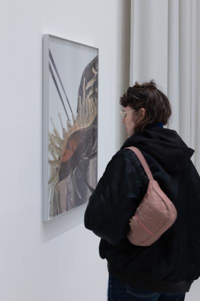 "still (a little life)" - Neven Allgeier, Judith Eisler, Pakui Hardware (The Hall. PART International Art Residency Austria, 7.3.2026) Foto: eSeL.at - Lorenz Seidler