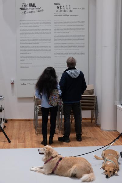 "still (a little life)" - Neven Allgeier, Judith Eisler, Pakui Hardware (The Hall. PART International Art Residency Austria, 7.3.2026) Foto: eSeL.at - Lorenz Seidler