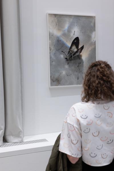 "still (a little life)" - Neven Allgeier, Judith Eisler, Pakui Hardware (The Hall. PART International Art Residency Austria, 7.3.2026) Foto: eSeL.at - Lorenz Seidler