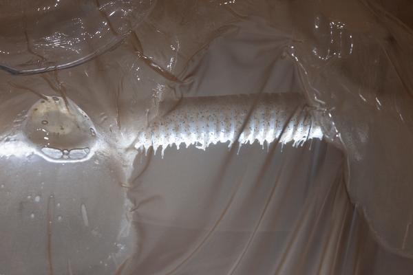 "still (a little life)" - Neven Allgeier, Judith Eisler, Pakui Hardware (The Hall. PART International Art Residency Austria, 7.3.2026) Foto: eSeL.at - Lorenz Seidler