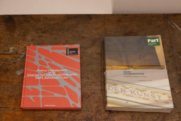 "still (a little life)" - Neven Allgeier, Judith Eisler, Pakui Hardware (The Hall. PART International Art Residency Austria, 7.3.2026) Foto: eSeL.at - Lorenz Seidler