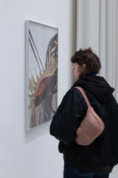 "still (a little life)" - Neven Allgeier, Judith Eisler, Pakui Hardware (The Hall. PART International Art Residency Austria, 7.3.2026) Foto: eSeL.at - Lorenz Seidler
