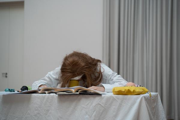 Stina Fors - Failing with Dignity (PART International Art Residency Austria, 26.06.2026) Foto: eSeL.at - Sarah Tasha