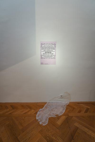 SUCK MY CODE! (Akademie der bildenden Künste / Exhibit Galerie, 05.11.2025 - 08.02.2026) Foto: eSeL.at - Robert Puteanu