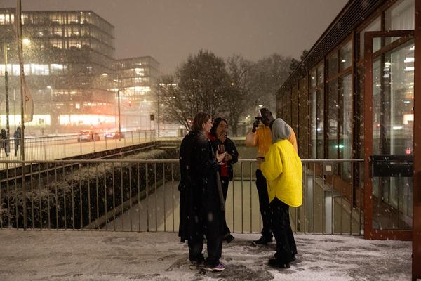 Sue Williams "What Now" (Belevedere 21, 20.2. - 7.6.2026) Foto: eSeL.at - Lorenz Seidler