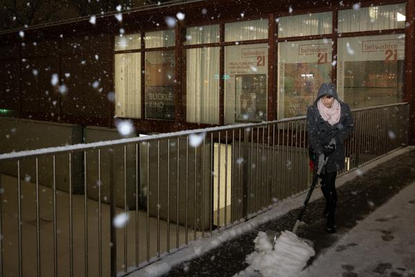 Sue Williams "What Now" (Belevedere 21, 20.2. - 7.6.2026) Foto: eSeL.at - Lorenz Seidler