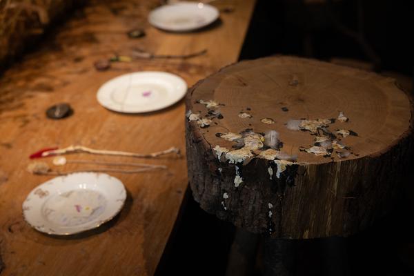 Superflux "The Craftocene" (Weltmuseum Wien, 3.3. - 16.8.2025) Foto: eSeL.at - Lorenz Seidler