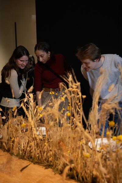 Superflux "The Craftocene" (Weltmuseum Wien, 3.3. - 16.8.2025) Foto: eSeL.at - Lorenz Seidler