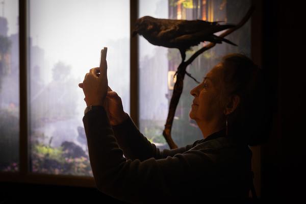 Superflux "The Craftocene" (Weltmuseum Wien, 3.3. - 16.8.2025) Foto: eSeL.at - Lorenz Seidler