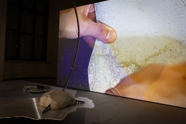 Superflux "The Craftocene" (Weltmuseum Wien, 3.3. - 16.8.2025) Foto: eSeL.at - Lorenz Seidler