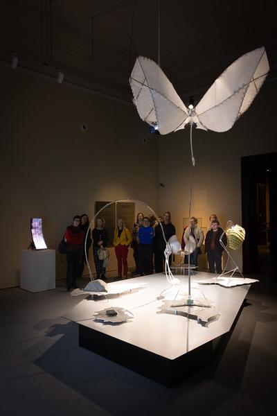 Superflux "The Craftocene" (Weltmuseum Wien, 3.3. - 16.8.2025) Foto: eSeL.at - Lorenz Seidler