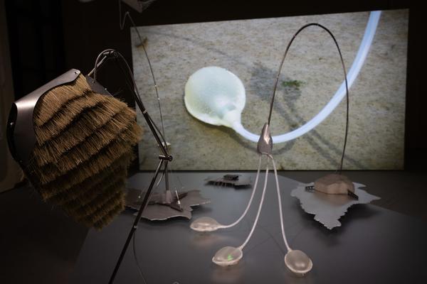 Superflux "The Craftocene" (Weltmuseum Wien, 3.3. - 16.8.2025) Foto: eSeL.at - Lorenz Seidler