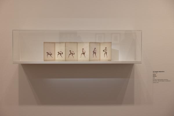 Tanzbild (Albertina Modern, 3.3.  - 7.6.2026) Foto: eSeL.at - Lorenz Seidler