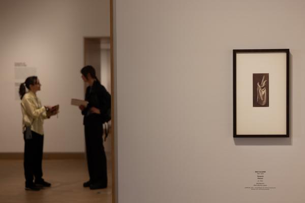 Tanzbild (Albertina Modern, 3.3.  - 7.6.2026) Foto: eSeL.at - Lorenz Seidler