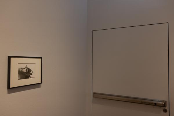 Tanzbild (Albertina Modern, 3.3.  - 7.6.2026) Foto: eSeL.at - Lorenz Seidler