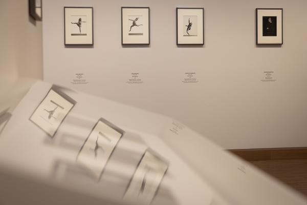 Tanzbild (Albertina Modern, 3.3.  - 7.6.2026) Foto: eSeL.at - Lorenz Seidler