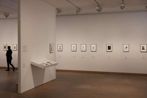 Tanzbild (Albertina Modern, 3.3.  - 7.6.2026) Foto: eSeL.at - Lorenz Seidler